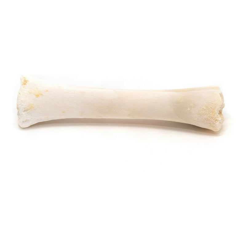Osso croccante a base di Calcio per cane da masticare (20 pezzi)