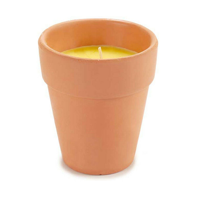 Candela Citronella 8 x 8 x 8 cm (12 Unità)