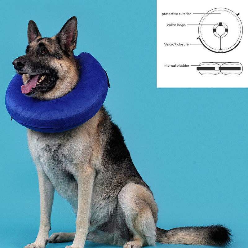 Collare Protettivo Gonfiabile per Cani Piccoli con Collo cm 15-25 KVP Kong Cloud Blu per Recupero Ferite