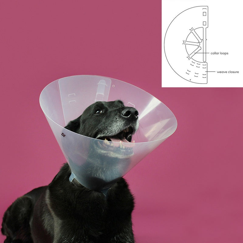 Collare elisabettiano per cani KVP Betsy Trasparente (63-78 cm)