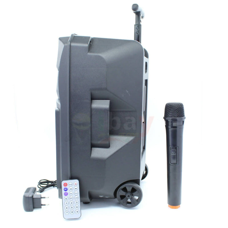 Cassa Karaoke Portatile 120Watt Con Microfono Bluetooth USB SD AUX con Telecomando