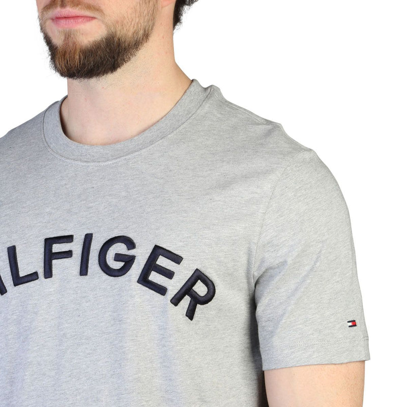 t-shirt grigia Tommy Hilfiger da uomo vestibilità regular 100 % cotone