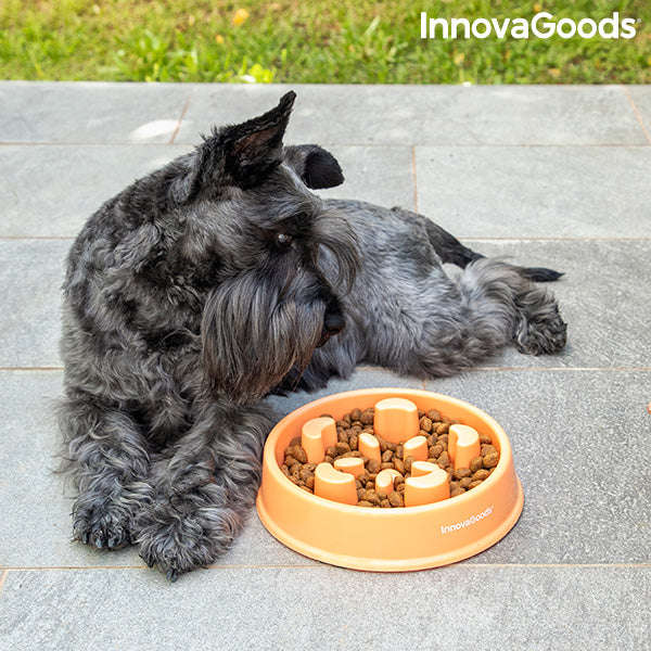 Ciotola ad Alimentazione Lenta per Cani e Gatti Slowfi InnovaGoods