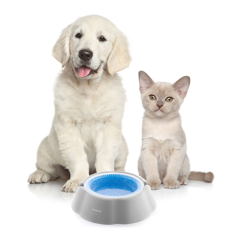 Ciotola Rinfrescante per Cani e Gatti Freshty InnovaGoods - Mantiene fresca l'acqua