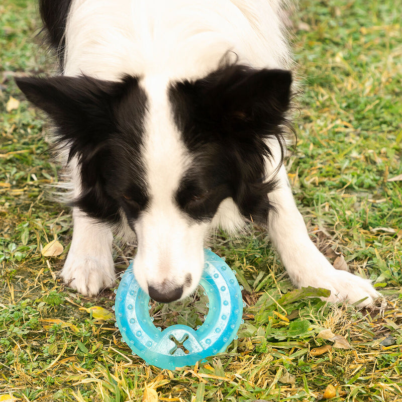 Giocattolo per Cani da Mordere Congelabile per denti e gengive 2 in 1 –  Goestro