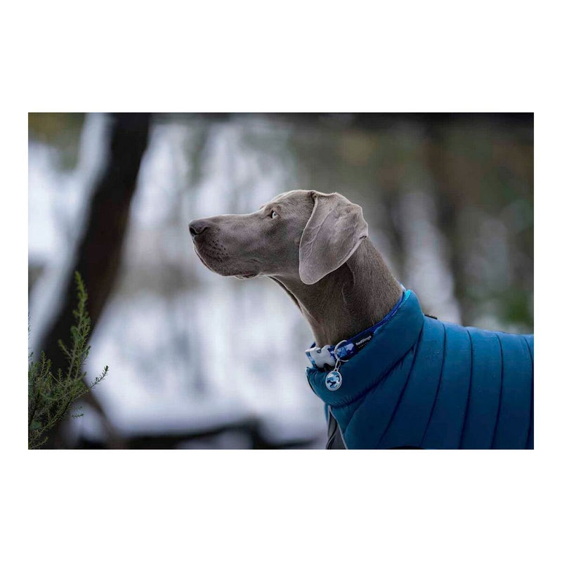 Cappotto per Cani Red Dingo Puffer Turchese 40 cm