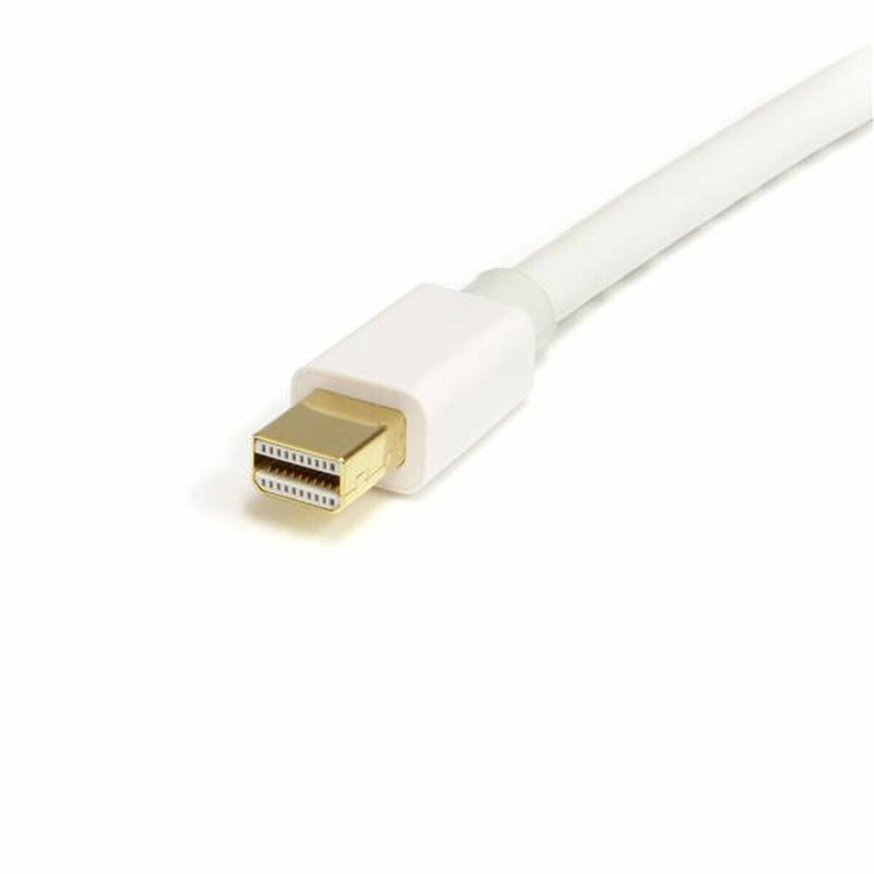 Cavo da DisplayPort Mini a DisplayPort Startech MDP2DPMM2MW          (2 m) Bianco 4K Ultra HD