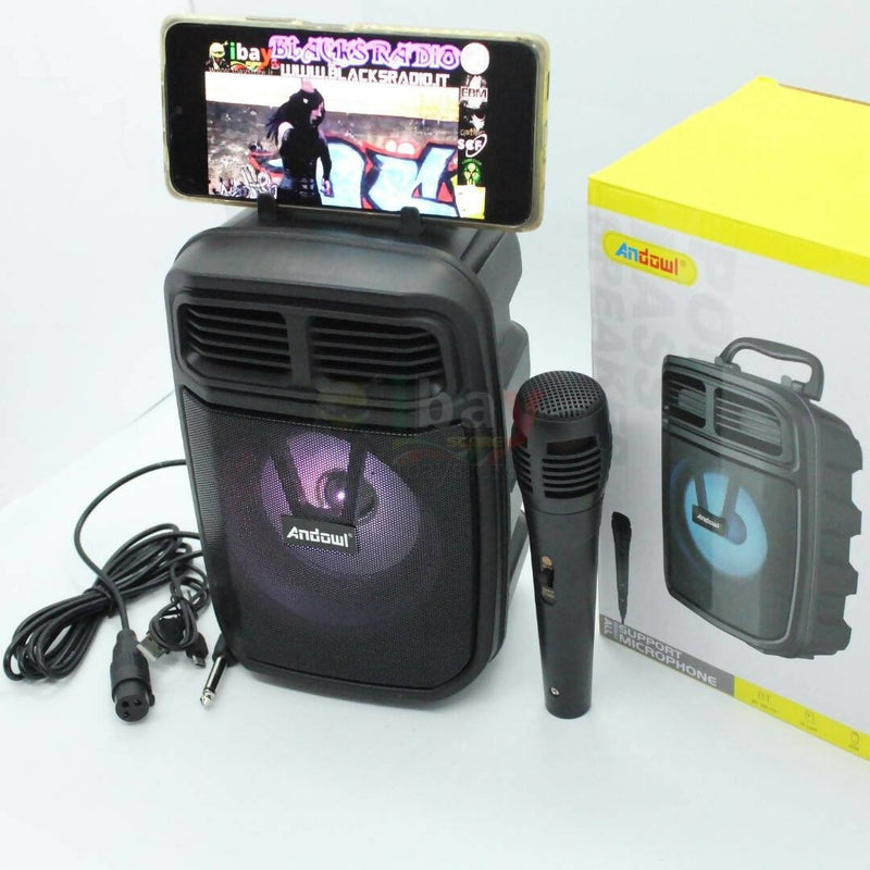 Cassa Karaoke Portatile Con Porta Smartphone Radio FM Bluetooth USB SD con Microfono