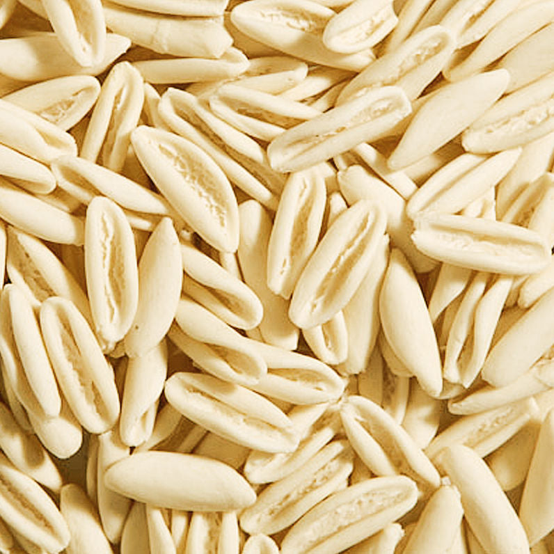 15 Pacchi di Cavatellini Lucani Artigianali di Grano 100% Italiano - Pasta Biologica Certificata di Matera - 7,5 Kg