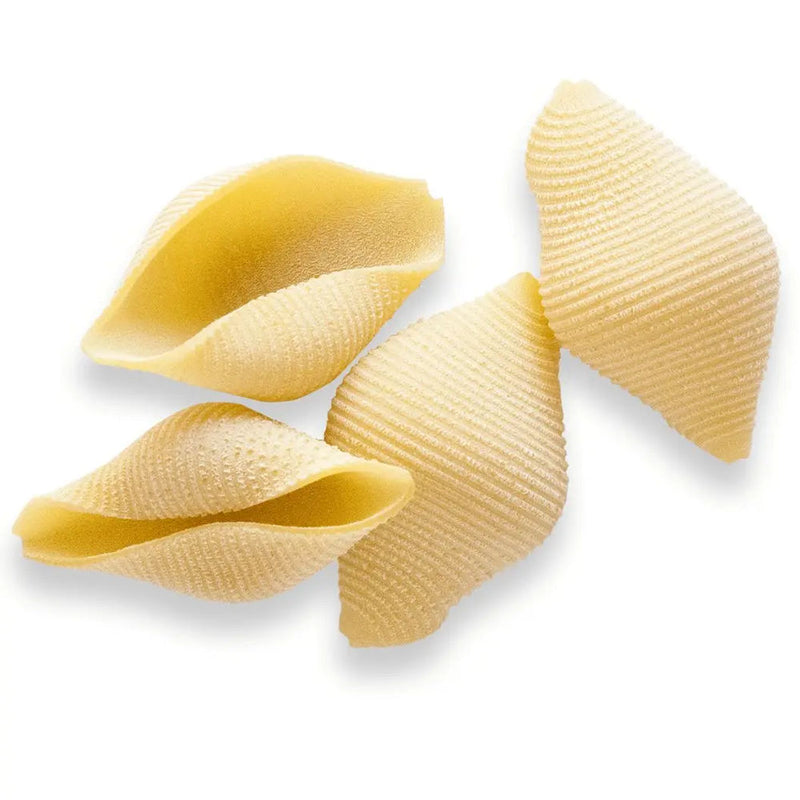 Pasta Artigianale Biologica di Alta Qualità - Conchiglioni di Matera - 100% Grano Italiano - 500 g