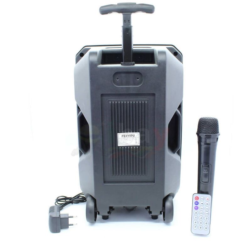 Cassa Karaoke Portatile 120Watt Con Microfono Bluetooth USB SD AUX con Telecomando